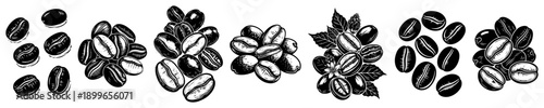 Hand drawn coffee beans and leaves border in vintage engraving style