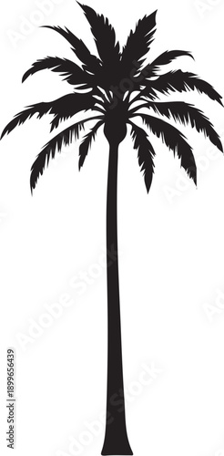 palm tree silhouette