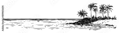 Hand drawn sketch of a tropical beach landscape with palm trees and calm ocean horizon