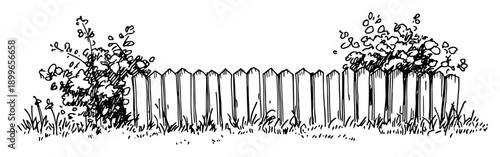 Hand drawn sketch of a wooden picket fence with overgrown bushes and plants
