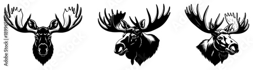 Silhouette set of moose heads with large antlers in different perspectives