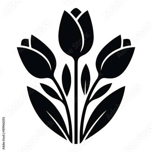 Elegant tulip flower bouquet and leaf stems vector silhouette, isolated on transparent and white backgrounds