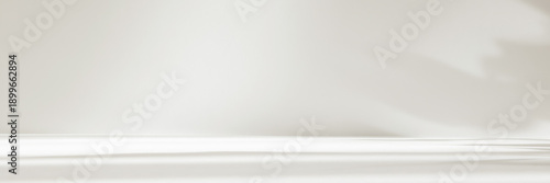 Abstract white color studio background for product presentation. Empty room with shadows of window and flowers and plant leaves . 3d grey room with copy space. Summer concept. Blurred backdrop. Banner