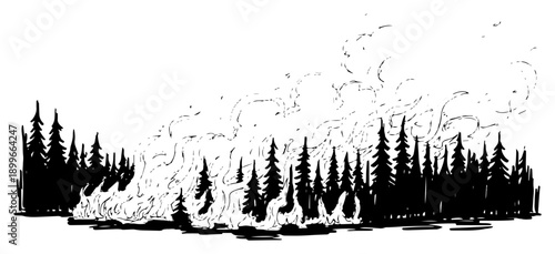 Dramatic hand drawn sketch of a forest fire with burning pine trees and rising smoke clouds