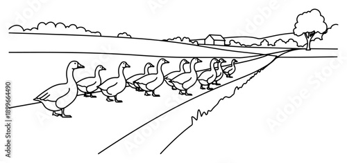Cartoon line art showing a row of geese walking along a country path near a farm