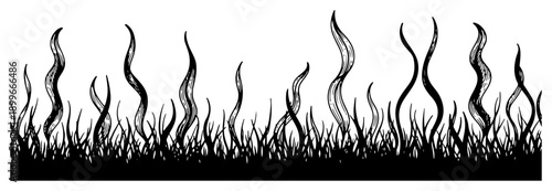 Silhouette of tall grass and wavy seaweed plants forming a horizontal border in black and white
