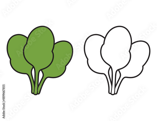 Spinach Leaf Vector Illustration for Kids Coloring Page.  Simple Bold Outline with colored version.