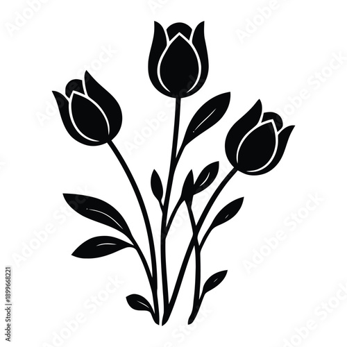 Elegant tulip flower bouquet and leaf stems vector silhouette, isolated on transparent and white backgrounds