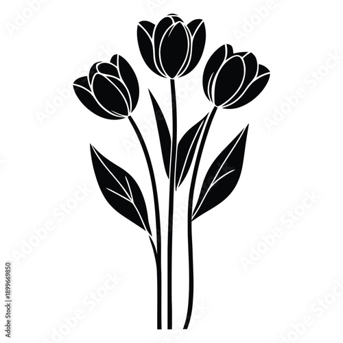 Elegant tulip flower bouquet and leaf stems vector silhouette, isolated on transparent and white backgrounds