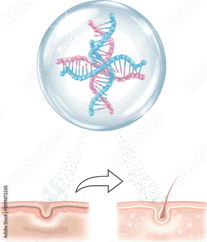 Isolated a realistic Bubble with collagen molecule, brightening dull skin to healthy vector art with white background..