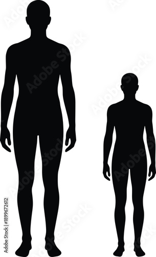 Human body silhouettes, adult child figure comparison, anatomy shapes set, flat vector illustration, isolated white background, proportion reference