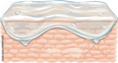 Isolated a realistic Hyaluronic acid film covering dry skin to lock in hydration effects vector art .