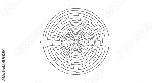 A complex circular maze with a single entrance on the left side, leading into a dense network of paths.