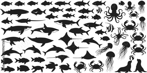 Sea animals silhouettes collection with fish, shark, jellyfish, crab, seal isolated black vector on white background