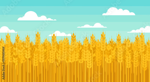 Golden wheat field under a serene blue sky with fluffy clouds.