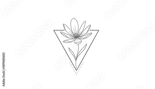 Vector minimalist flower triangle logo, simple line art illustration, for branding or icon use, Isolated on transparent background, png