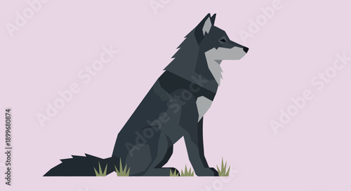 Vector illustration of a sitting wolf with a pastel background.