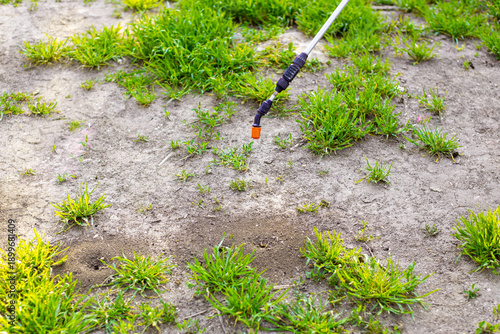 Konstfotografi A garden sprayer is aimed at areas with an anthill with a hole in the ground