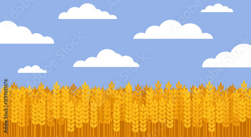 Golden wheat field under a serene blue sky with white clouds.