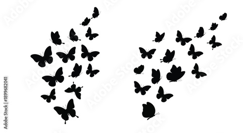 A swarm of butterflies in a striking black silhouette