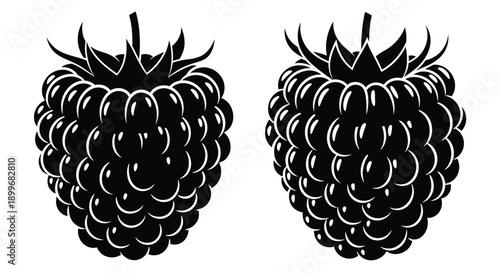 Two detailed raspberry silhouettes with textured surfaces