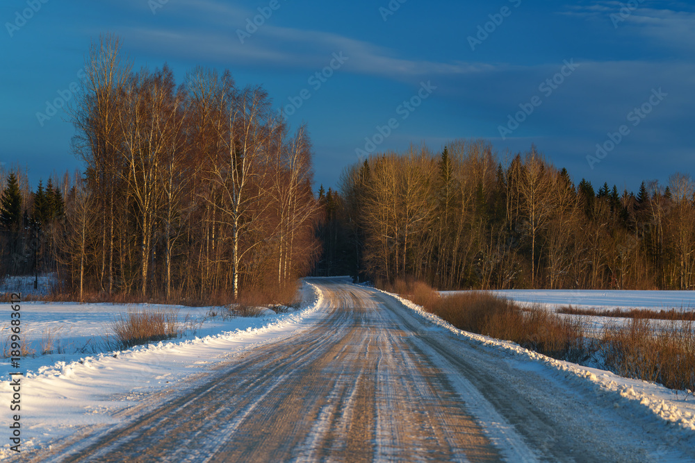 Obraz premium road in winter