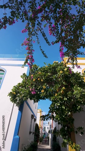 Vertical view of beautiful buildings and bougainvillea flowers in picturesque fishing old village Puerto de Mogan, Gran Canaria, Canary Islands, Spain