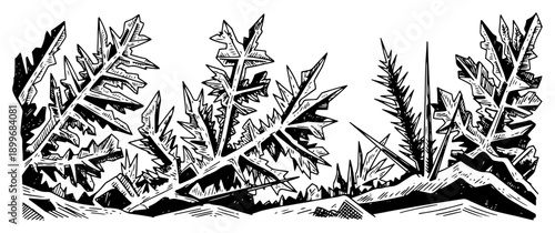 Vintage hand drawn woodcut illustration of sharp jagged frost crystals and ice patterns