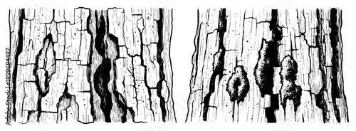 Natural tree bark texture with deep cracks and organic patterns in vintage woodcut style