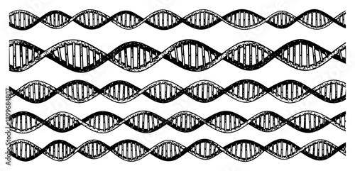 Hand drawn sketch of dna double helix structure patterns