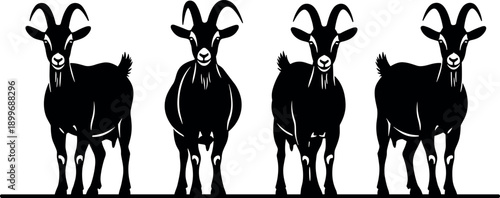 Four Black Goat Silhouettes Standing in a Row Vector Illustration Isolated on White Background for Farm Livestock Animal Graphic Design