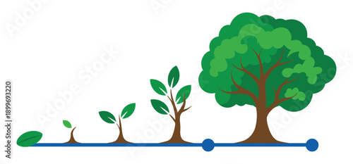 An illustration showing the growth stages of a tree from seed to maturity