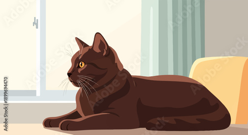 A brown cat rests on a windowsill with a cushion and curtains nearby