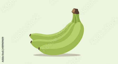A bunch of green bananas with a subtle shadow