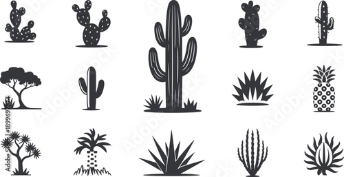 Desert cactus, agave and pineapple silhouettes vector set with tropical trees, botanical icons, minimal black nature symbols collection