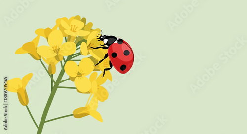 A ladybug perches on bright yellow flowers against a soft green background