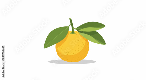 A yellow, textured citrus fruit with green leaves and a stem on white
