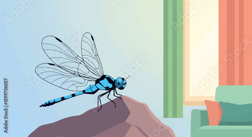A vibrant blue dragonfly rests on a rock, near a window with sheer curtains