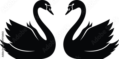 Two black swans facing each other forming a heart shape birds couple