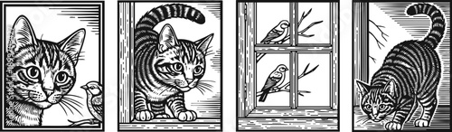 black and white illustrations of curious tabby cats observing and interacting with birds at a window