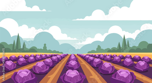 An endless field of vibrant purple cabbage stretches towards distant, hazy blue hills under a cloudy sky