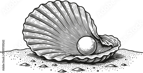 Open seashell with pearl inside lying on the sand hand drawn natural marine object, ocean treasure illustration