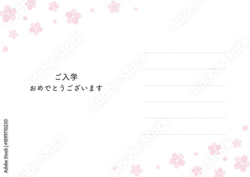 入学式・入学のお祝いカード 春の桜の花と罫線