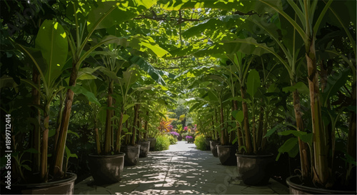 A sun-dappled pathway lined with potted banana plants leads to a vibrant garden