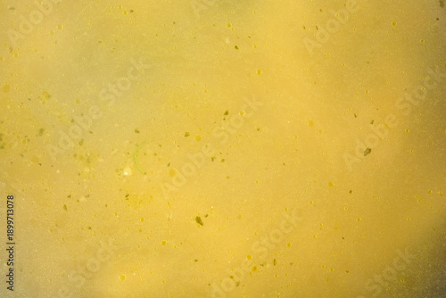 Fotografie A detailed close up view showing the golden surface of a fresh chicken soup with