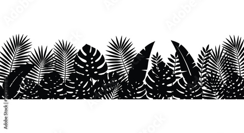 A detailed black and white tropical leaf border design perfect for backgrounds and graphic elements on transparent background silhouette high quality