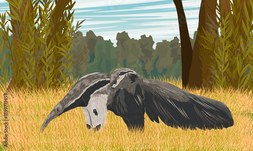 A giant anteater carries its cub on its back. Realistic vector landscape.
