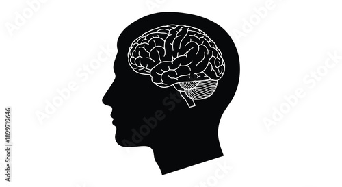 A detailed illustration of a human head in profile with a brain inside depicted as a silhouette on transparent background