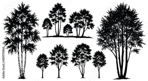 A collection of diverse tree silhouettes arranged across a landscape ideal for design projects on transparent background high quality professional detailed