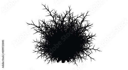 A detailed black silhouette of a thorny bush or cluster perfect for design elements on transparent background high quality professional modern